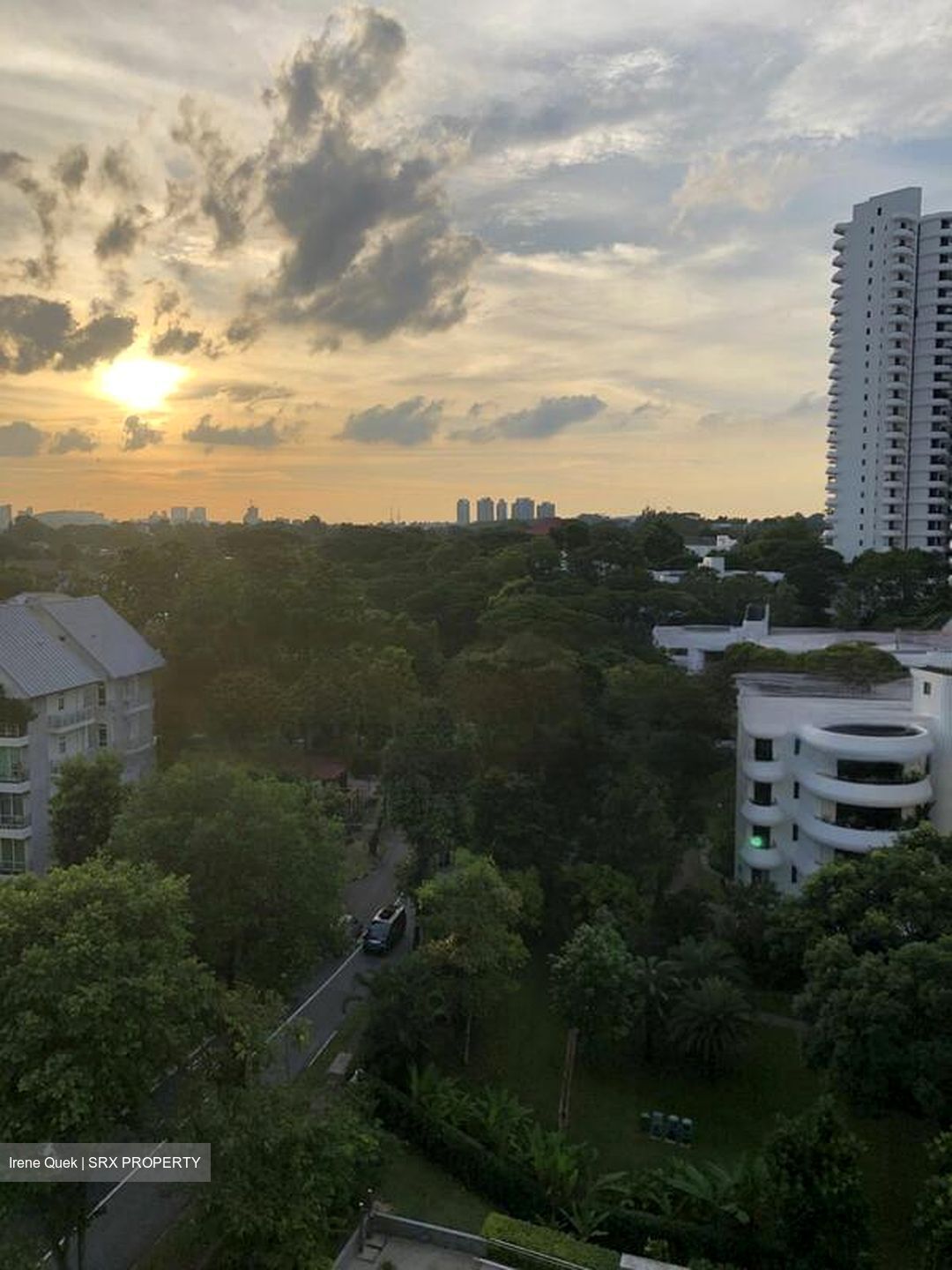 Nathan Suites (D10), Condominium #479929431